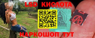 мдпв Донецк